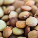 Lenticchie cucinate in modo innovativo su un piatto, pronte per essere servite a cena.